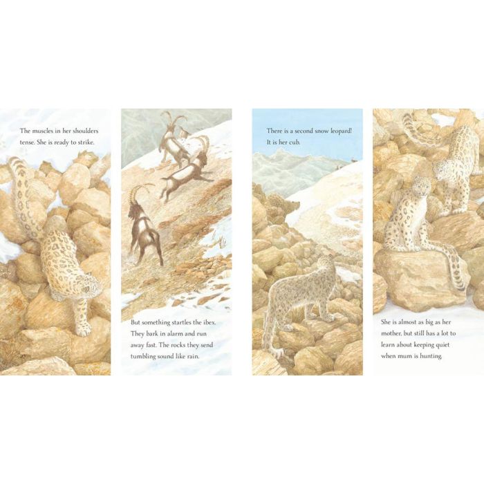 Snow Leopard: Grey Ghost of the Mountain | Stanfords