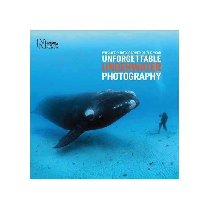 Wildlife Photographer of the Year: Unforgettable Underwater