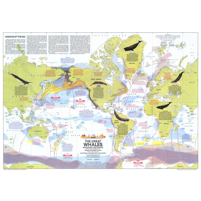 Great Whales, Migration and Range Published 1976 Stanfords